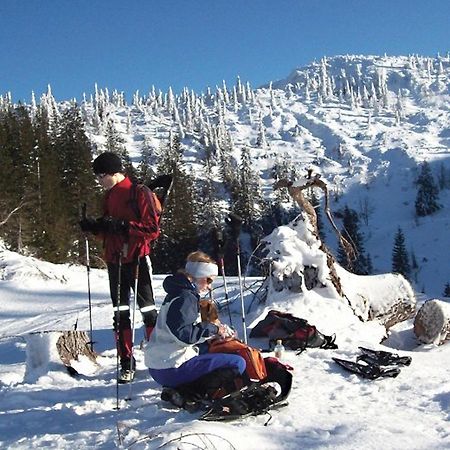Fewo Atterseeperle - 80M2 Mit See- Und Gebirgsblick Steinbach am Attersee Zewnętrze zdjęcie