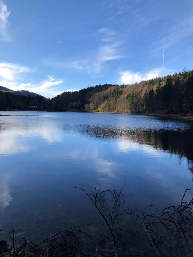 Fewo Atterseeperle - 80M2 Mit See- Und Gebirgsblick Steinbach am Attersee Zewnętrze zdjęcie