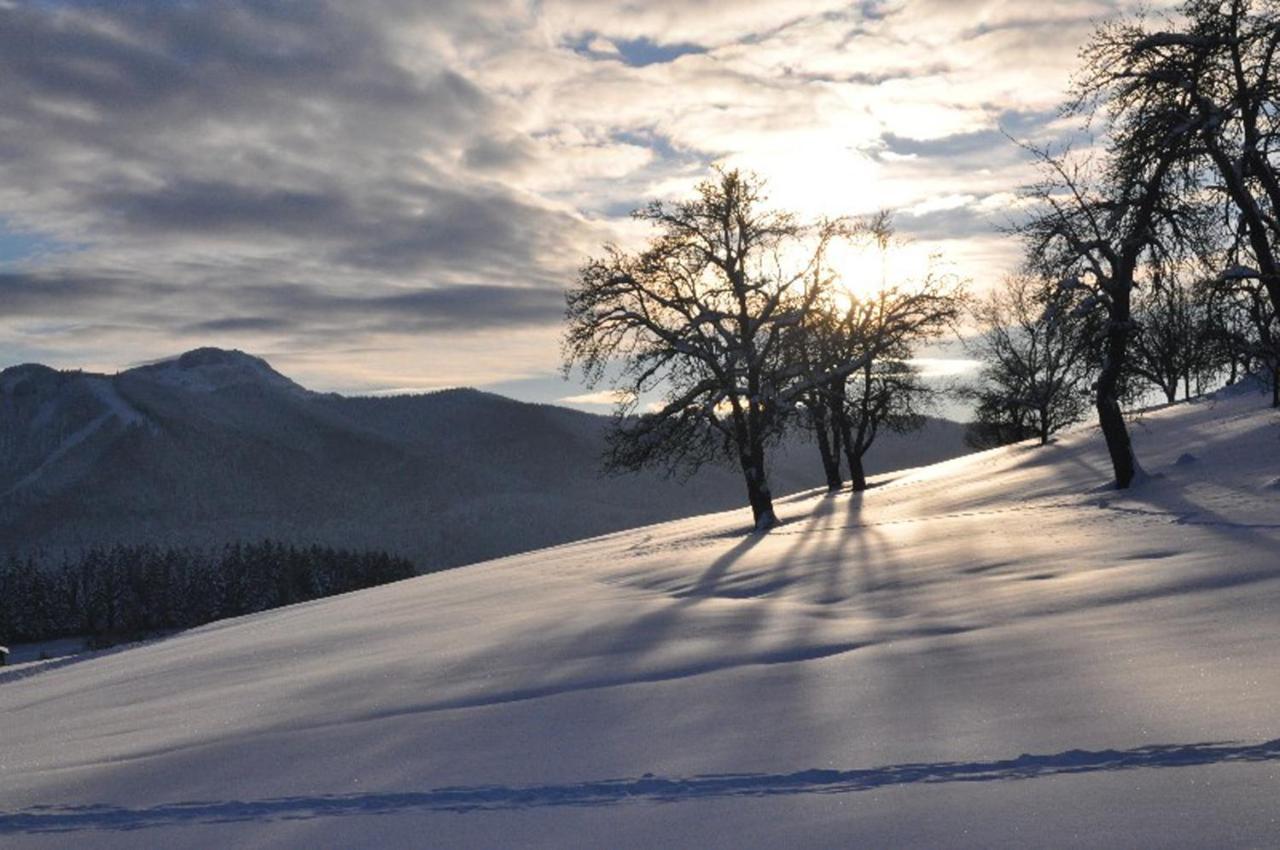 Fewo Atterseeperle - 80M2 Mit See- Und Gebirgsblick Steinbach am Attersee Zewnętrze zdjęcie