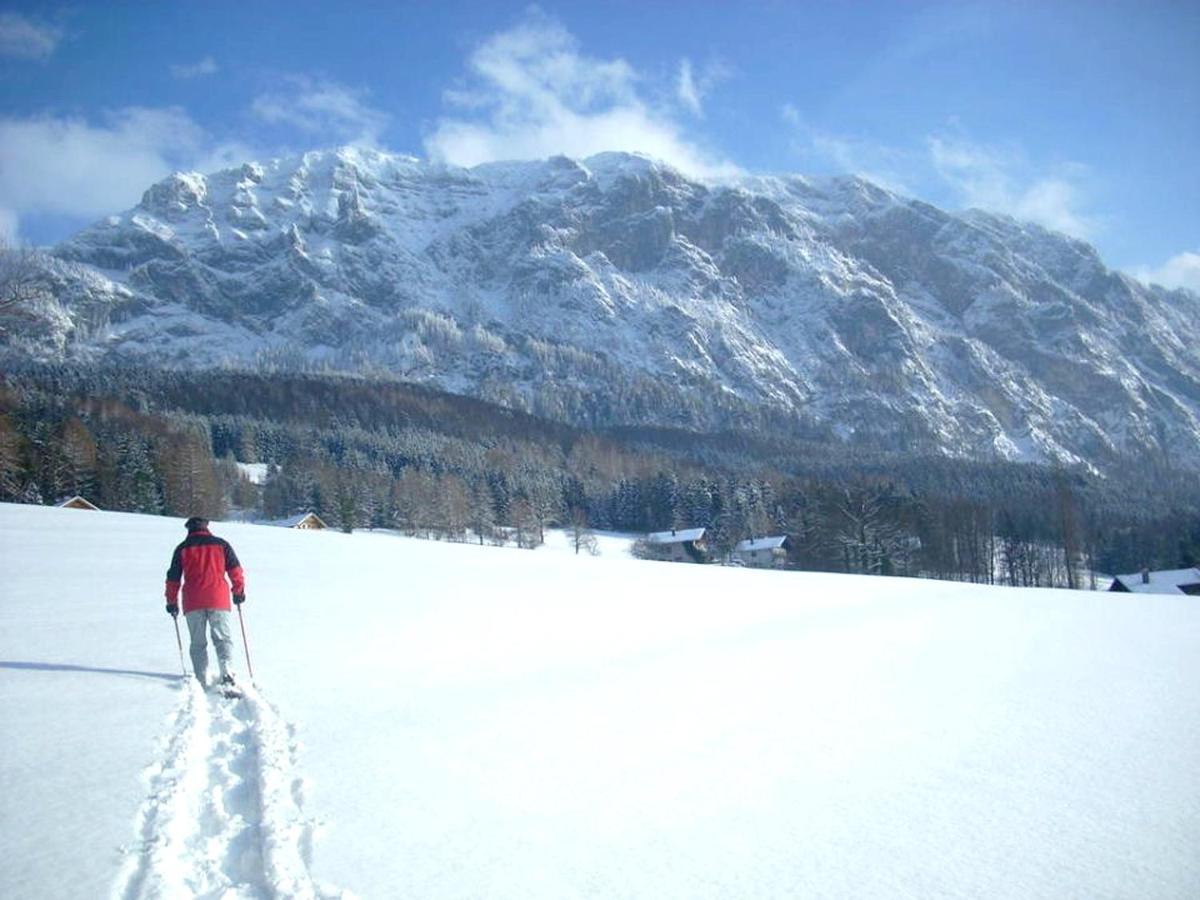 Fewo Atterseeperle - 80M2 Mit See- Und Gebirgsblick Steinbach am Attersee Zewnętrze zdjęcie