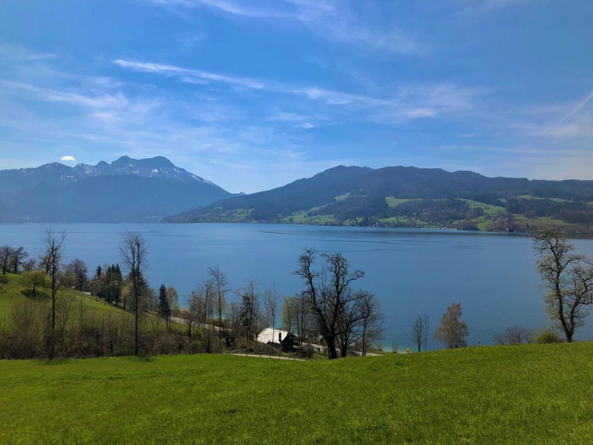 Fewo Atterseeperle - 80M2 Mit See- Und Gebirgsblick Steinbach am Attersee Zewnętrze zdjęcie