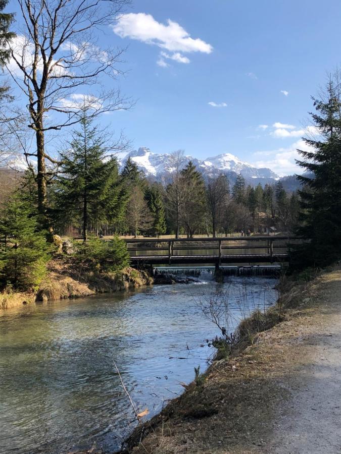 Fewo Atterseeperle - 80M2 Mit See- Und Gebirgsblick Steinbach am Attersee Zewnętrze zdjęcie