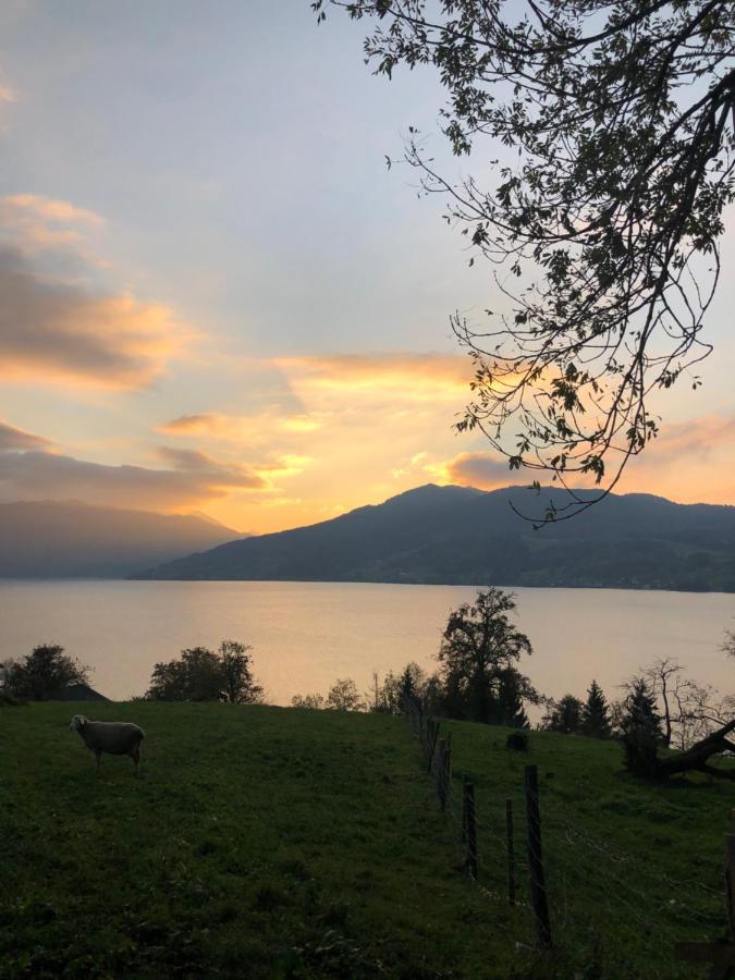 Fewo Atterseeperle - 80M2 Mit See- Und Gebirgsblick Steinbach am Attersee Zewnętrze zdjęcie