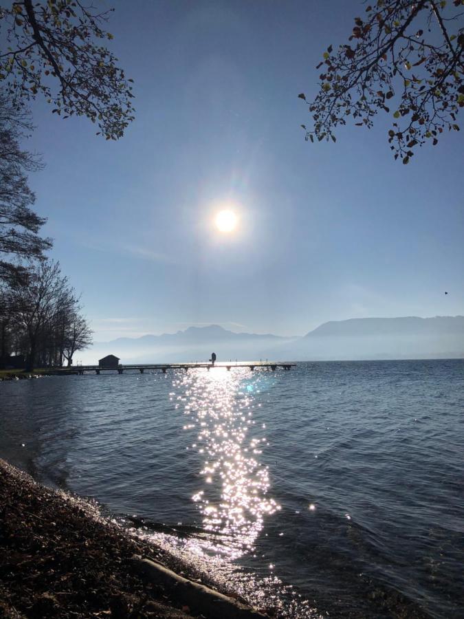 Fewo Atterseeperle - 80M2 Mit See- Und Gebirgsblick Steinbach am Attersee Zewnętrze zdjęcie