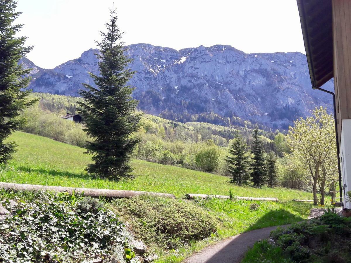 Fewo Atterseeperle - 80M2 Mit See- Und Gebirgsblick Steinbach am Attersee Zewnętrze zdjęcie